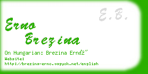 erno brezina business card